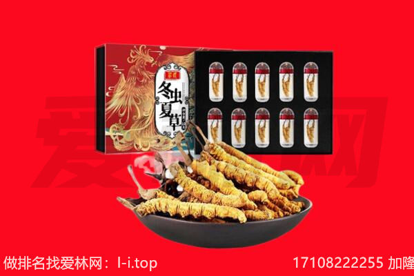 临汾市回收虫草.jpg